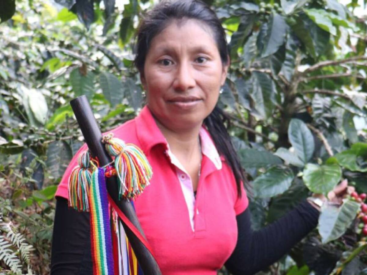 Listo proyecto agropecuario para indígenas del Huila