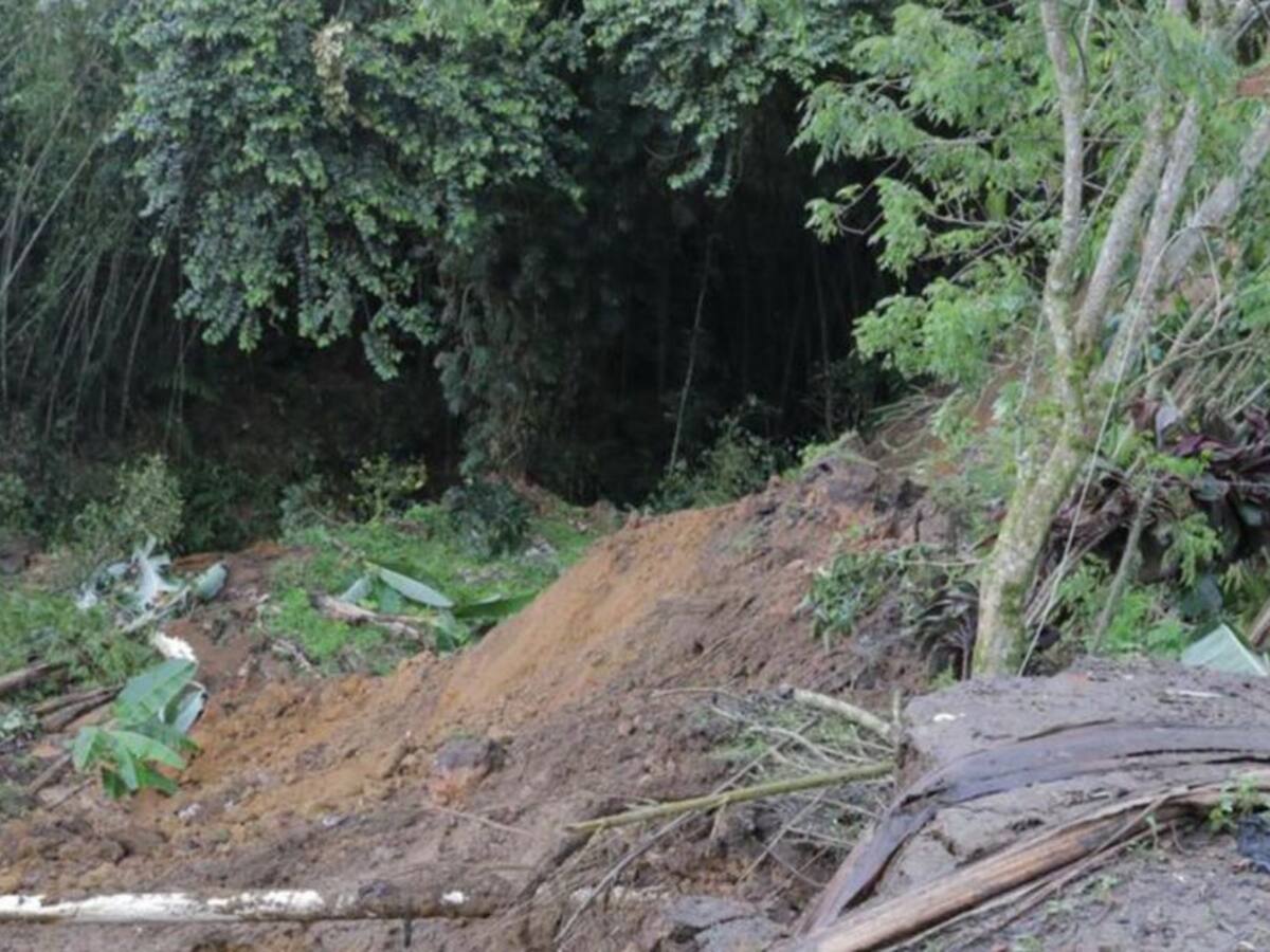 Derrumbe generó suspensión en el suministro de agua en 3 barrios de Pereira