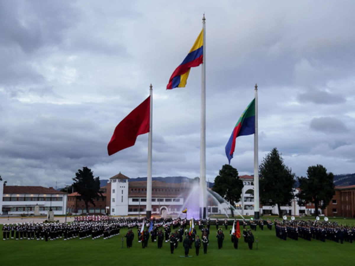 FF.MM. tienen legitimidad para desvincular o no a miembros de sus filas