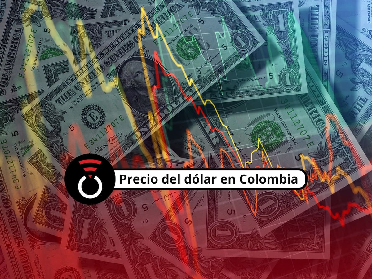Precio del dólar en Colombia HOY 19 de mayo de 2026: Banrep reporta alzas en las cotizaciones