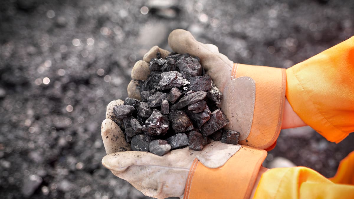 Líderes ambientales piden mayor vigilancia frente a la minería en áreas protegidas