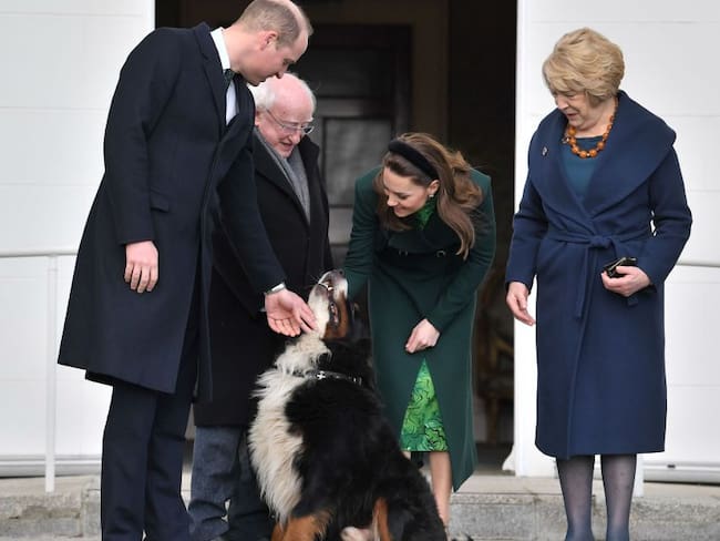 Mascota del presidente de Irlanda interrumpió evento para ser rascado