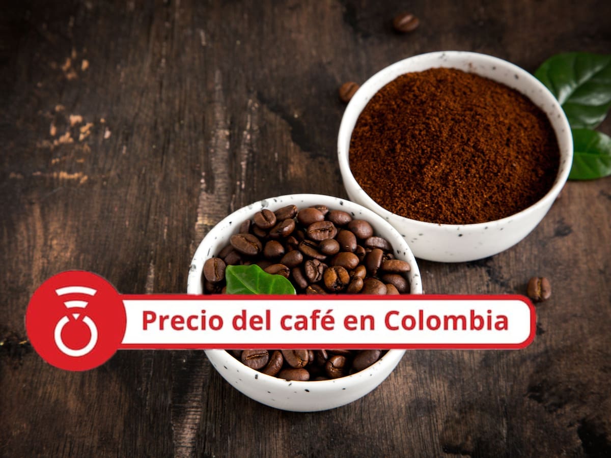 Precio del café HOY 25 de septiembre: el fruto cierra la semana sin altas ni bajas en el valor