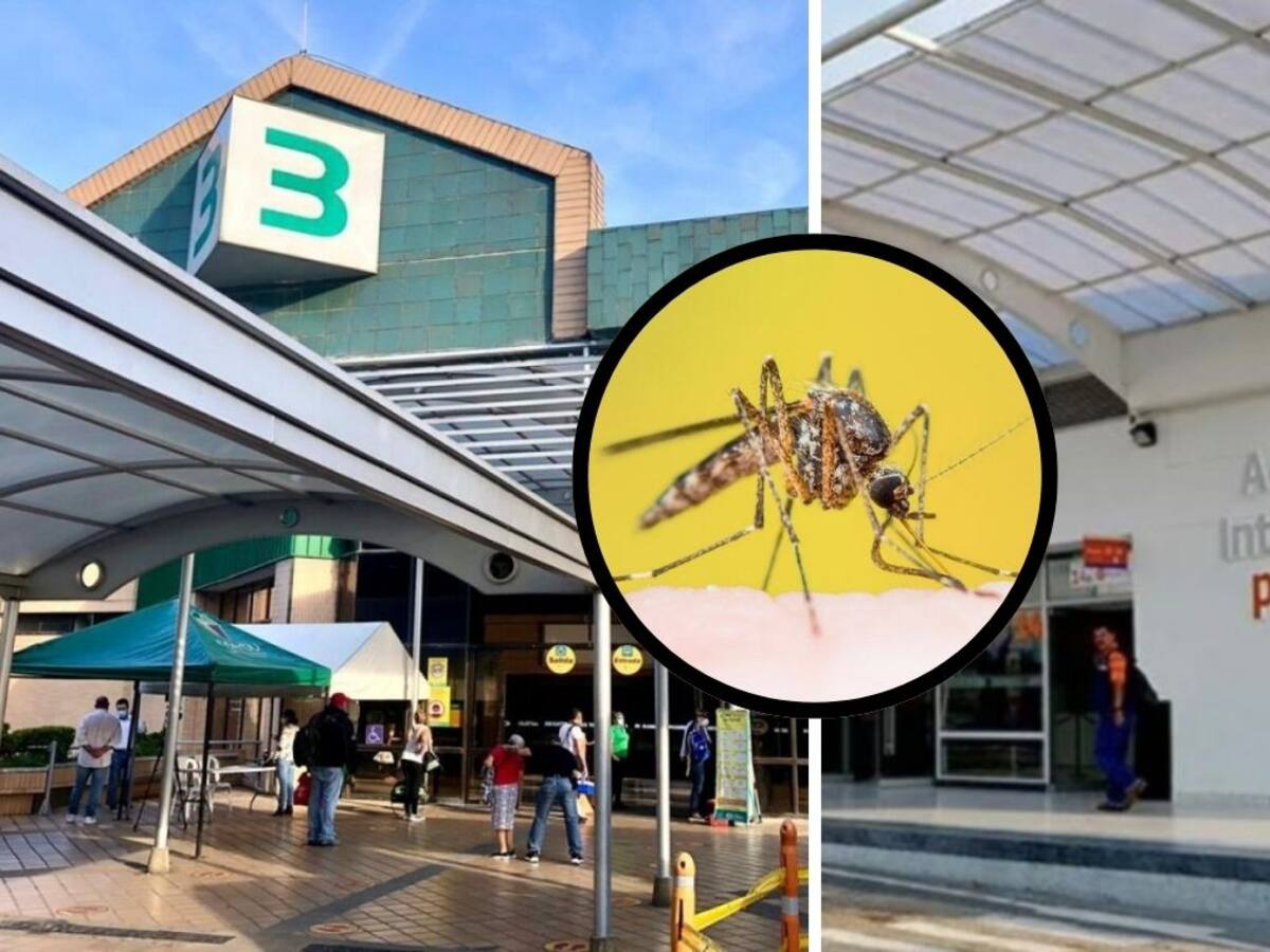 Vacúnese contra la fiebre amarilla en el aeropuerto Palonegro y en el Terminal de Bucaramanga