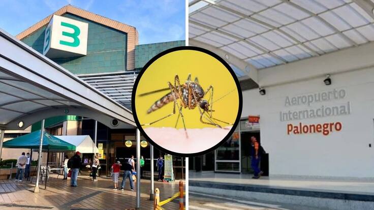 Liliana Serrano, subsecretaria de Salud de Bucaramanga.