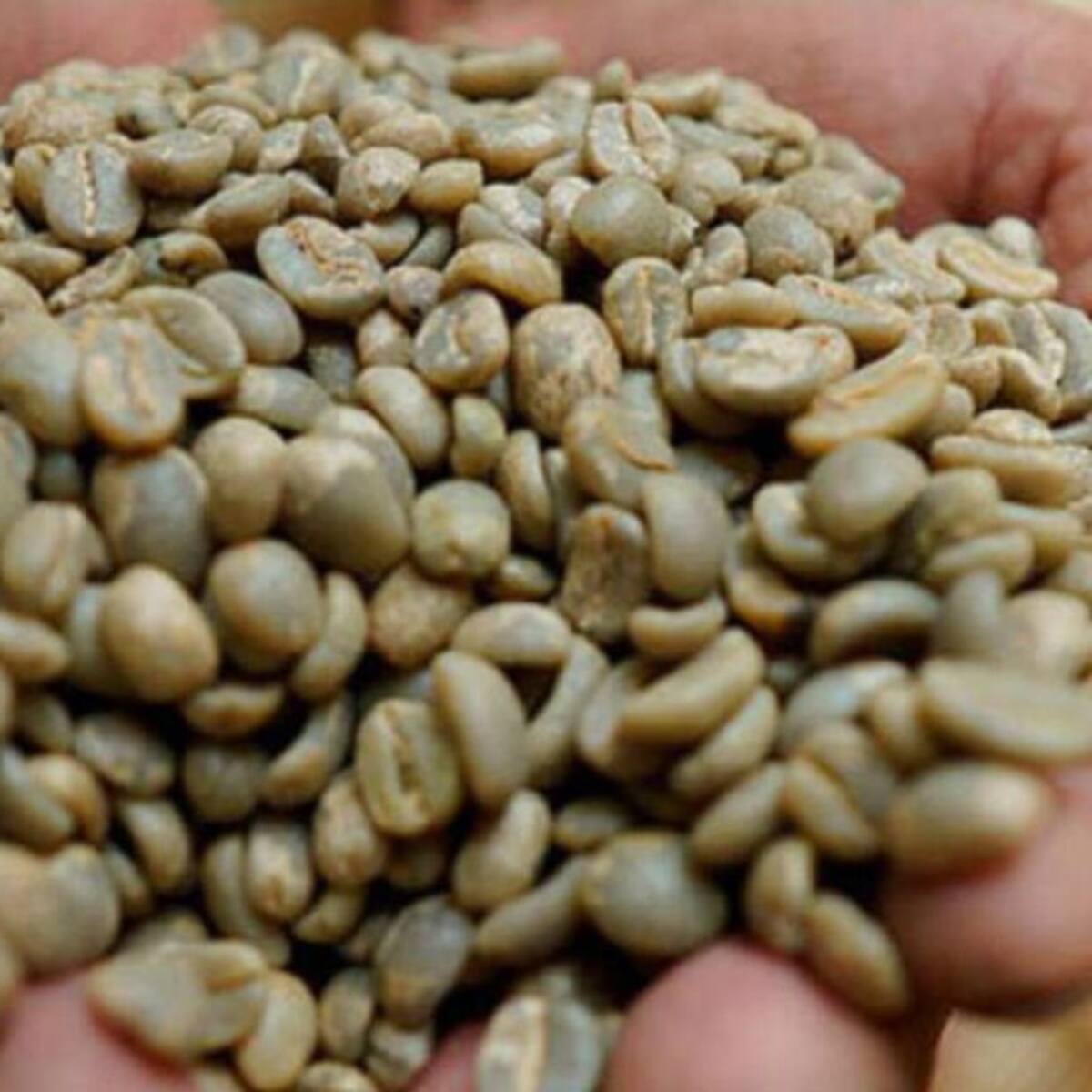 Cafeteros piden desbloquear vías para poder exportar el grano