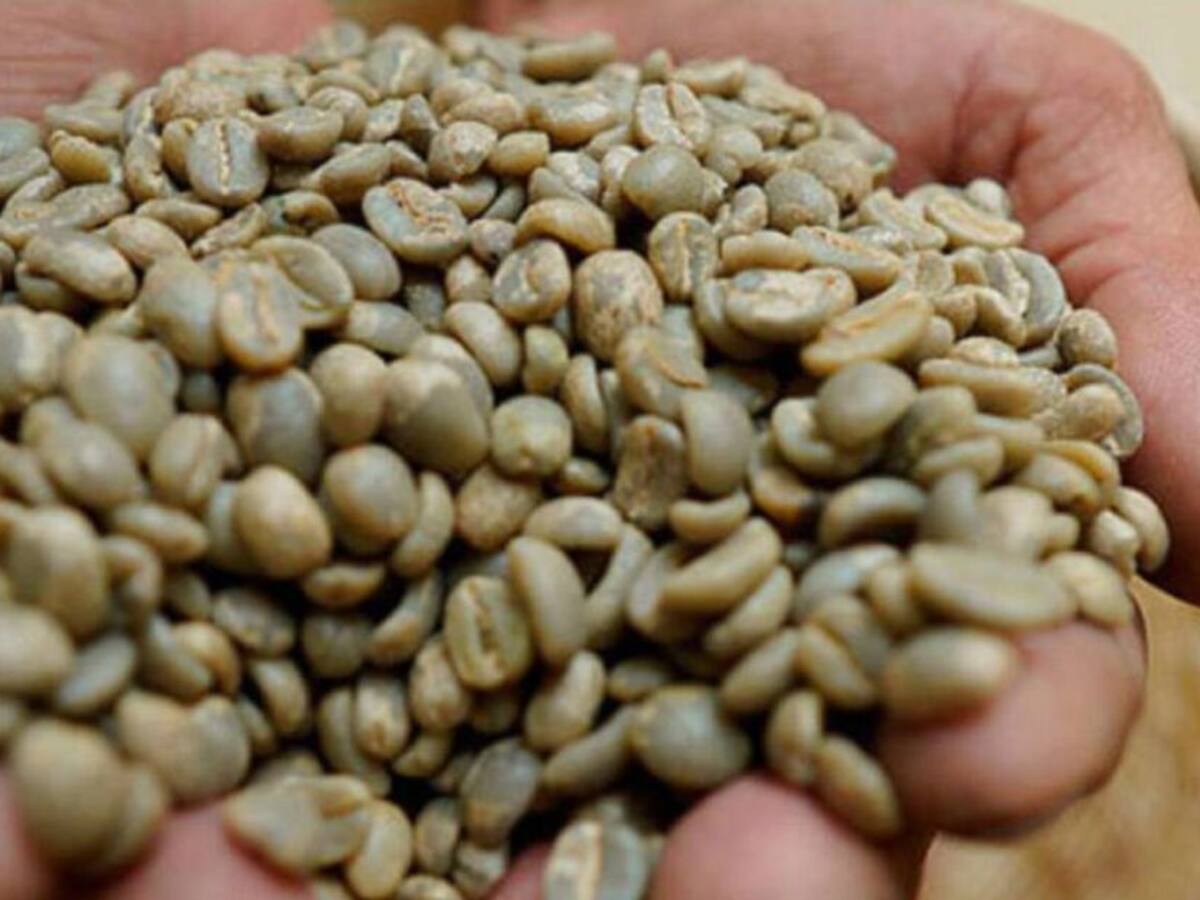 Cafeteros piden desbloquear vías para poder exportar el grano