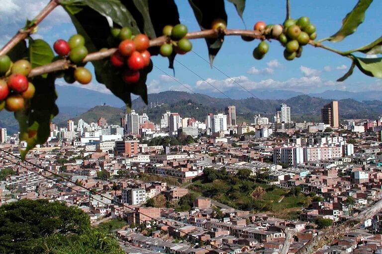 Proyectos estratégicos de Risaralda - Foto: Colprensa