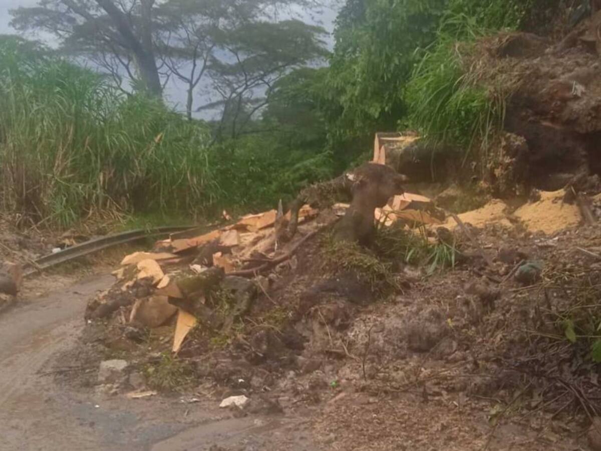Fuerte vendaval generó emergencias en siete municipios de Risaralda