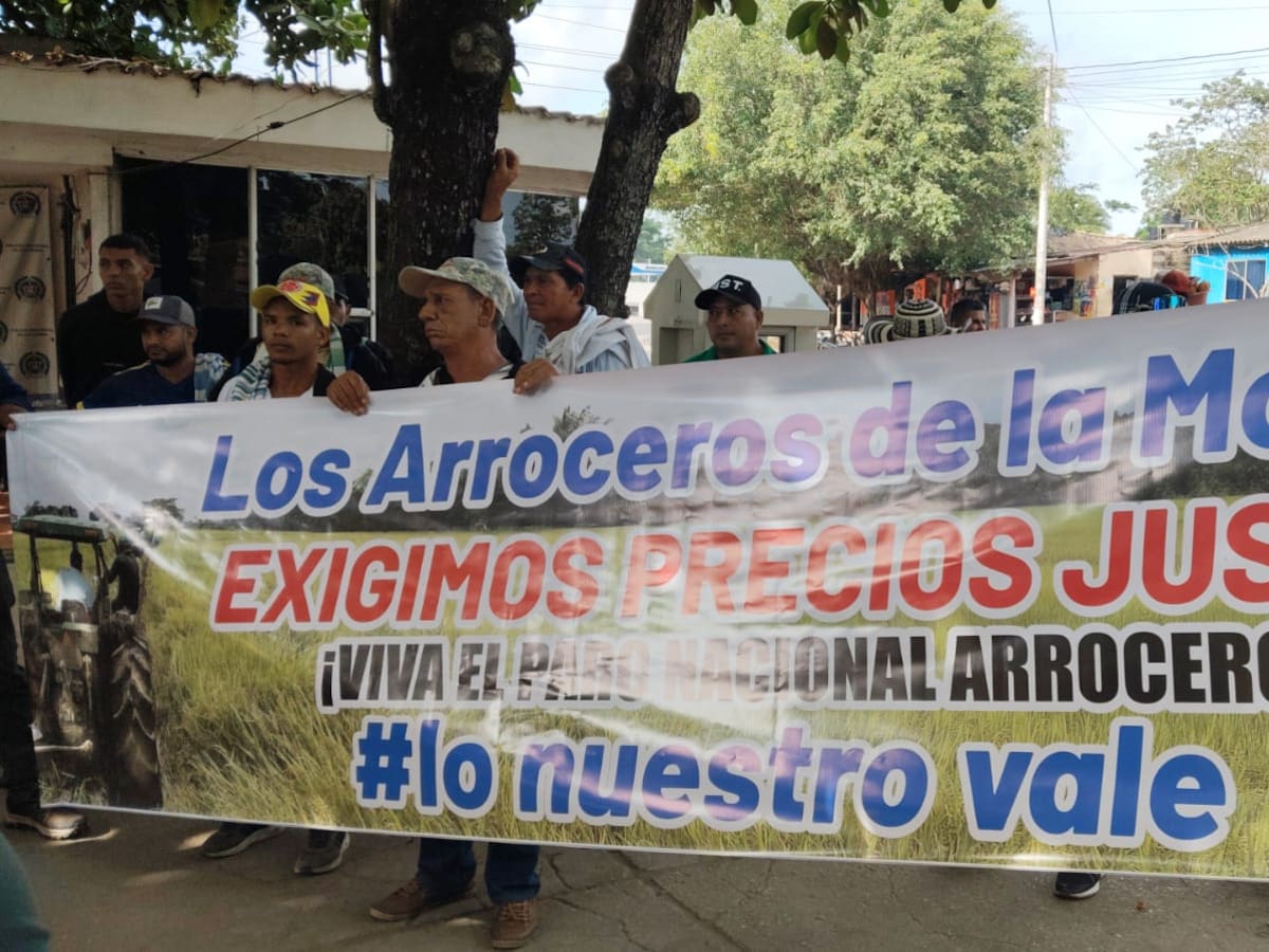 Arroceros de La Mojana: arroz de Ecuador debe entrar por mar y con aranceles para frenar contrabando