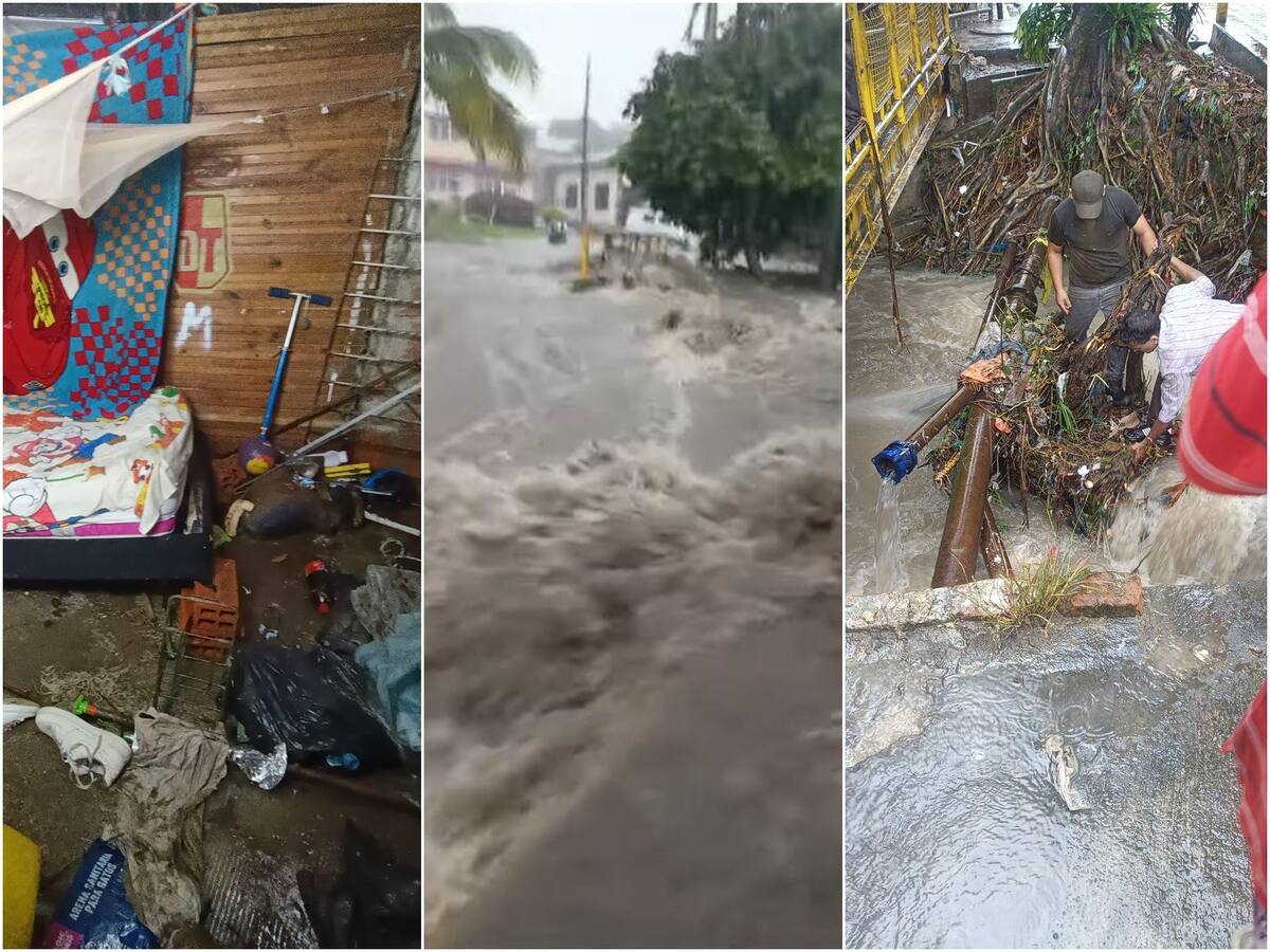 Fuerte aguacero en Ibagué ocasionó caída de árboles, inundaciones y desbordamiento de quebradas