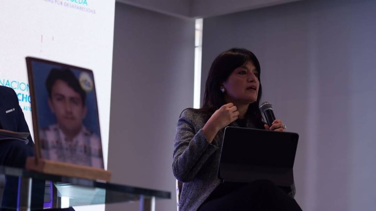 “La paz total es un desafío muy importante que merece Colombia”: CIDH