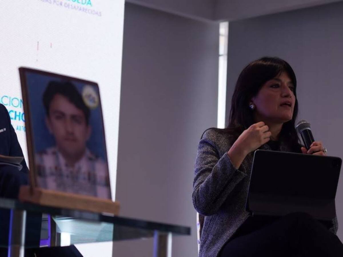 “La paz total es un desafío muy importante que merece Colombia”: CIDH