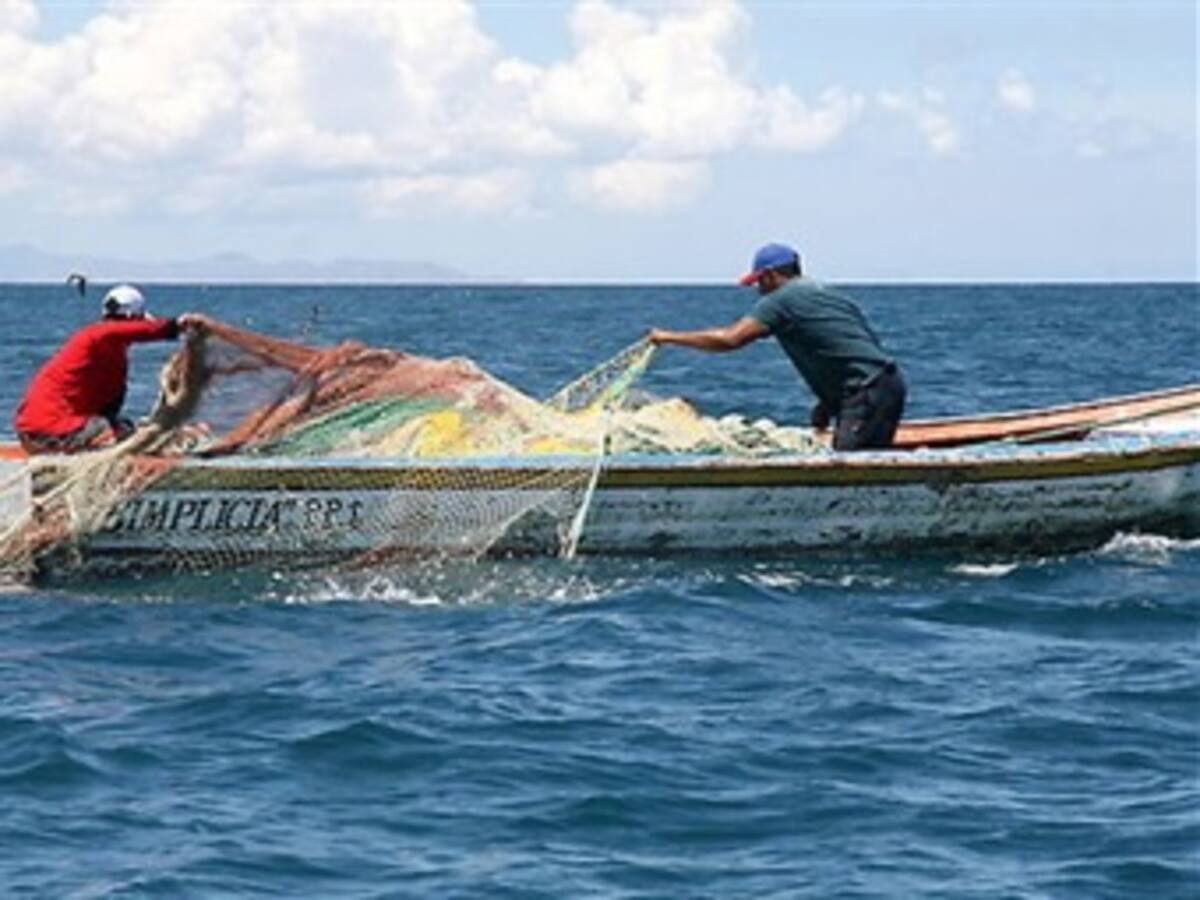 Con parte de mar que perdió Colombia, Nicaragua aumentaría exportaciones pesqueras en 8%