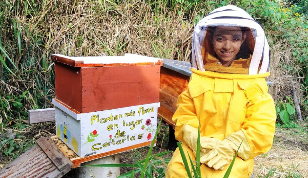 Las flores y la apicultura
