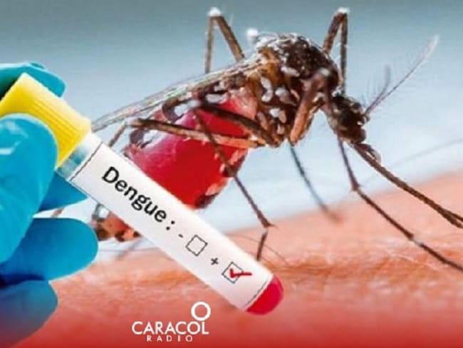 La Territorial de Salud, pide tener precaución por dengue. Crédito: Caracol Radio 