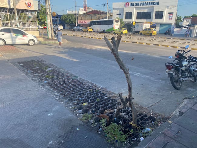 “Es un peligro”: comunidad pide cambio de rejillas en la urbanización La Villa