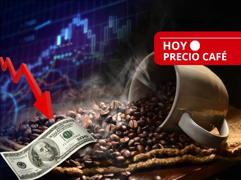 ¡Gran caída! Precio del café hoy 29 de julio, según FNC