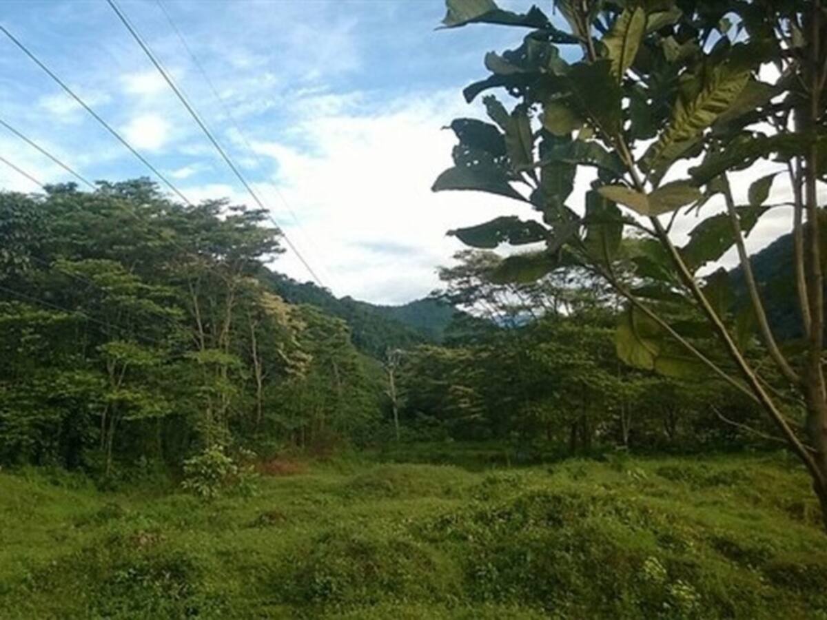 Minminas y Banco Mundial logran acuerdo para expandir electrificación rural en Colombia