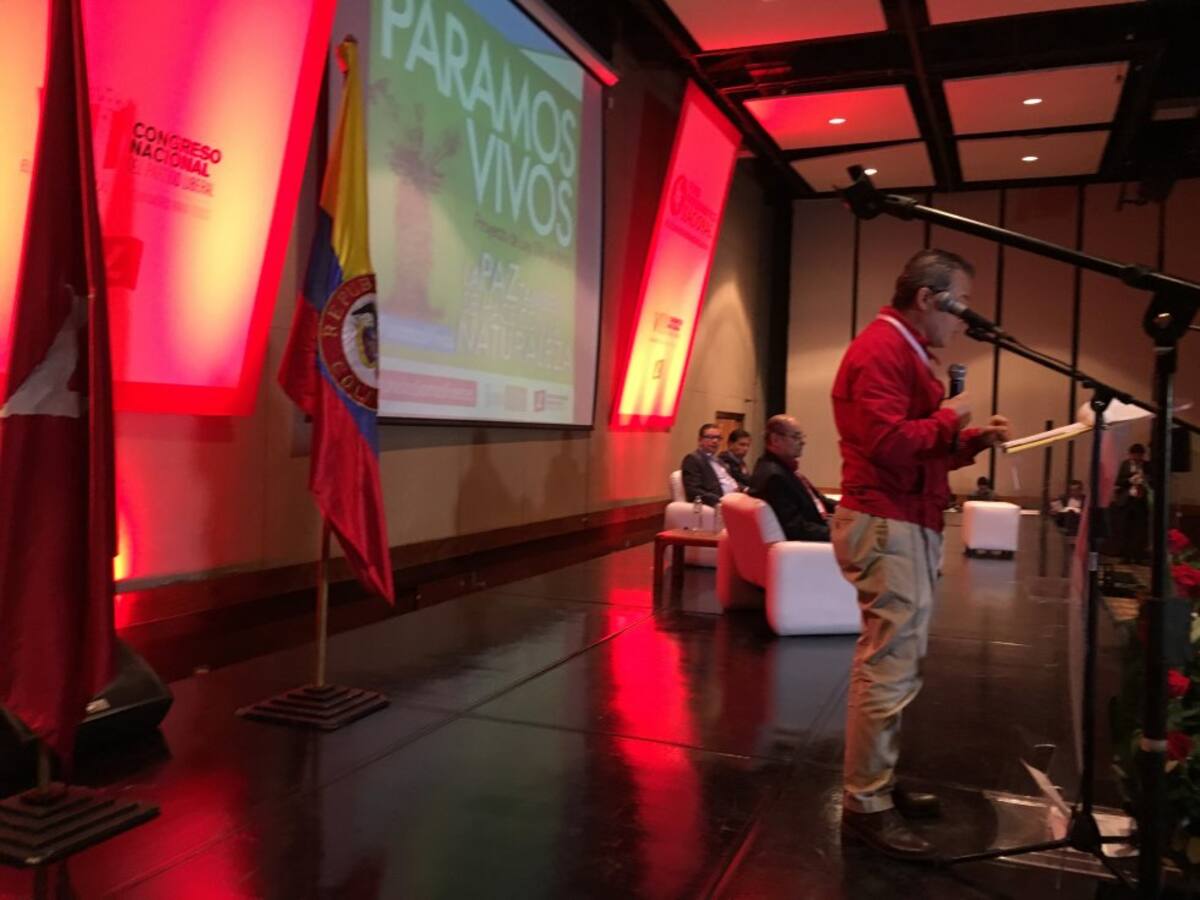 Petterson, de 32 años, asegura que otra de las razones por la abrió la cuenta es para que sus familiares puedan vivir sus aventuras.