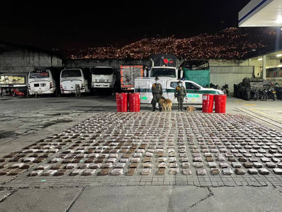 Un perro detectó 383 kg de marihuana en una terminal de Medellín