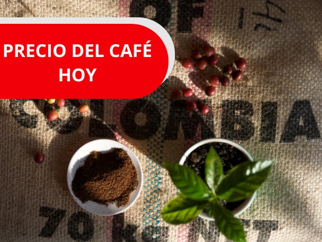 Precio del café para el día de HOY en Colombia, 29 de enero, Foto getty images