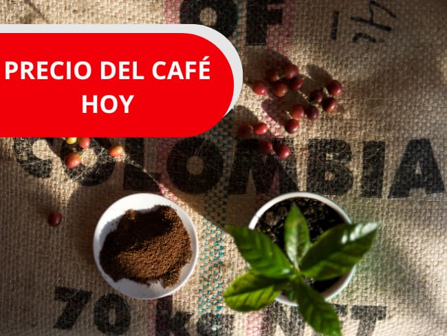 Precio del café para el día de HOY en Colombia, 29 de enero, Foto getty images