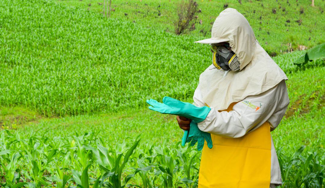 Cuidados para prevenir el contagio