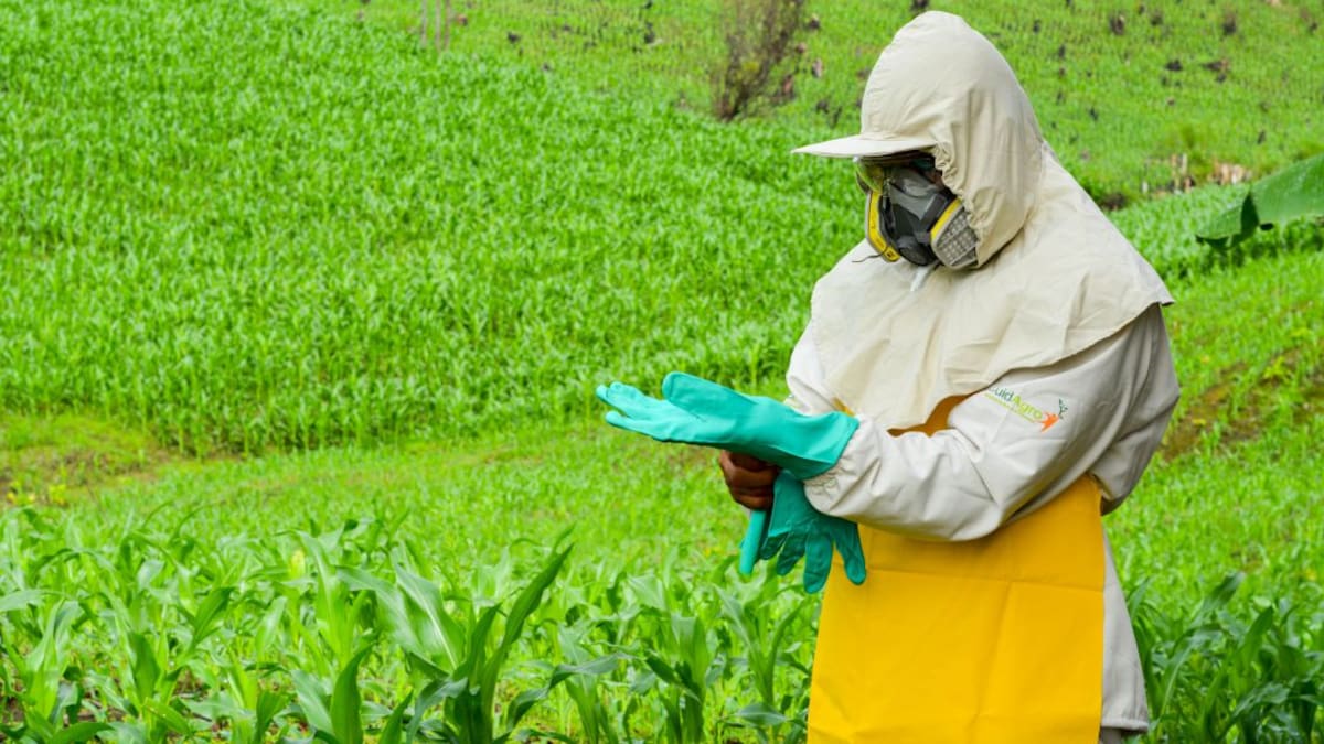 Consejos para que los campesinos eviten el contagio de coronavirus