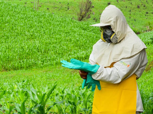 Cuidados para prevenir el contagio