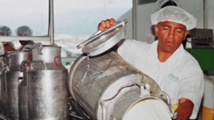 Entre 200 y 300 pesos bajó el litro de leche en el Quindío