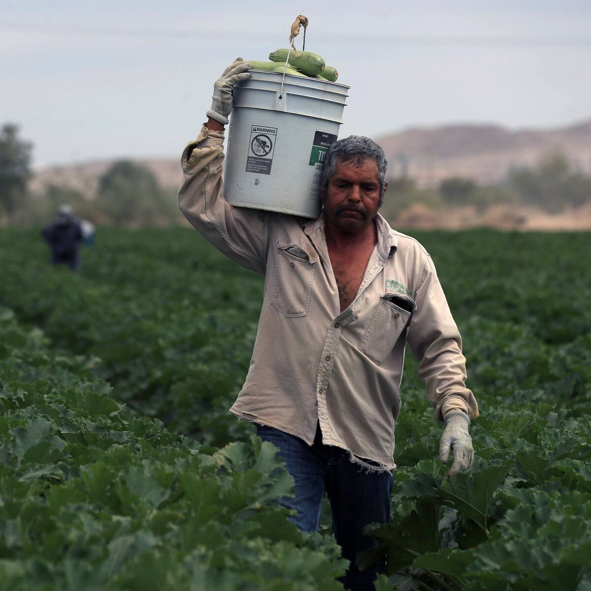 El Ministerio de Agricultura activa acciones para enfrentar el Fenómeno de El Niño