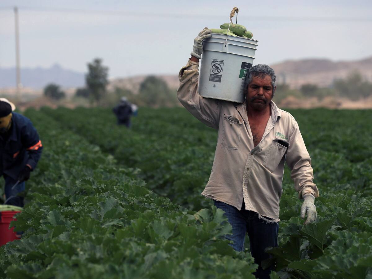Gobierno nacional establece las bases de la implementación de la reforma agraria