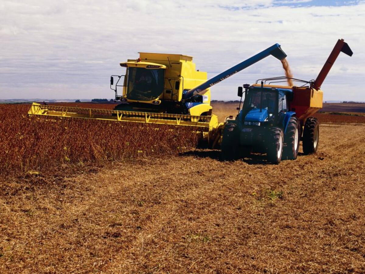 Fenalce: Ayudas del Gobierno no están llegando a los cultivadores