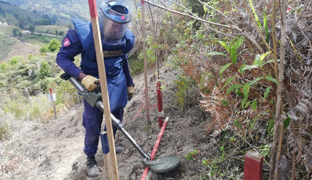  Baraya, Tello y Colombia municipios donde se concurran las labores de limpieza de minas en el Huila.
 