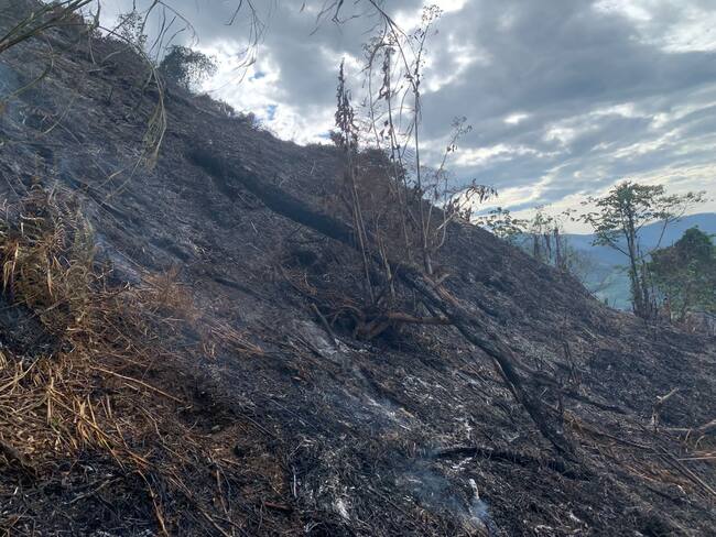Incendio forestal en zona rural de Génova, Quindío, Foto Cortesía Ciudadanos