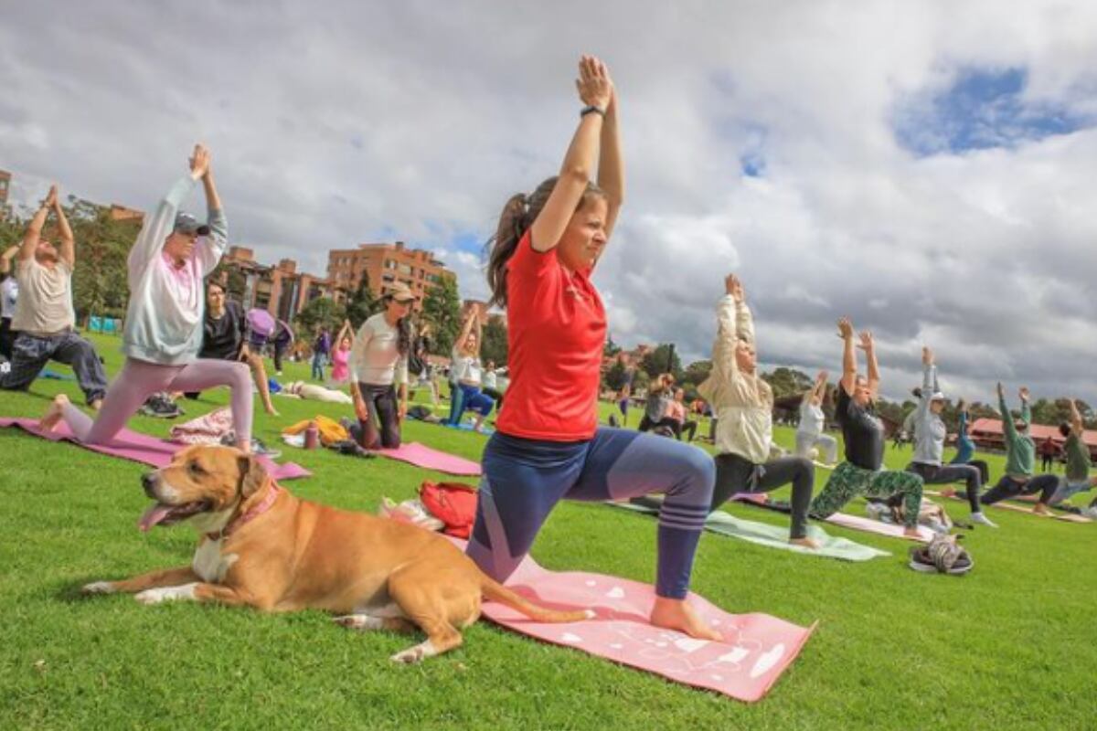 Festival Calma en la Ciudad - Cortesía Secretaría de Cultura Ciudadana