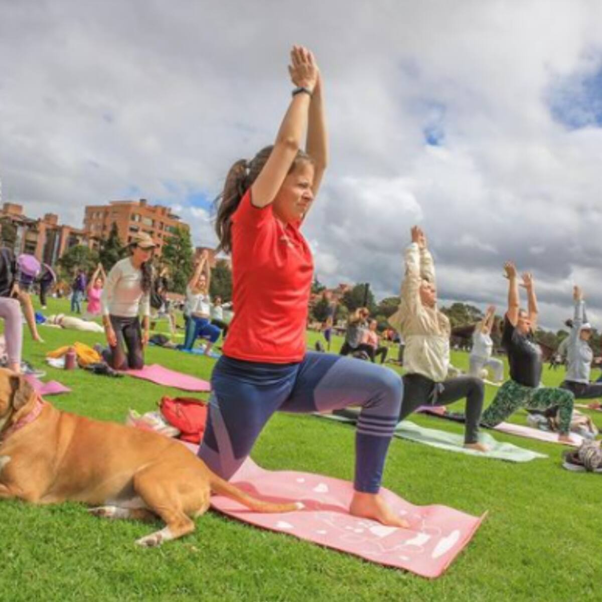 ¡Agéndese! Bogotá desarrolla festival gratuito ¿Cuáles son las más de 500 actividades?