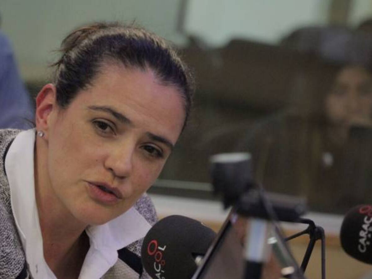 Las Farc no tendrán candidato presidencial: A. Villamizar