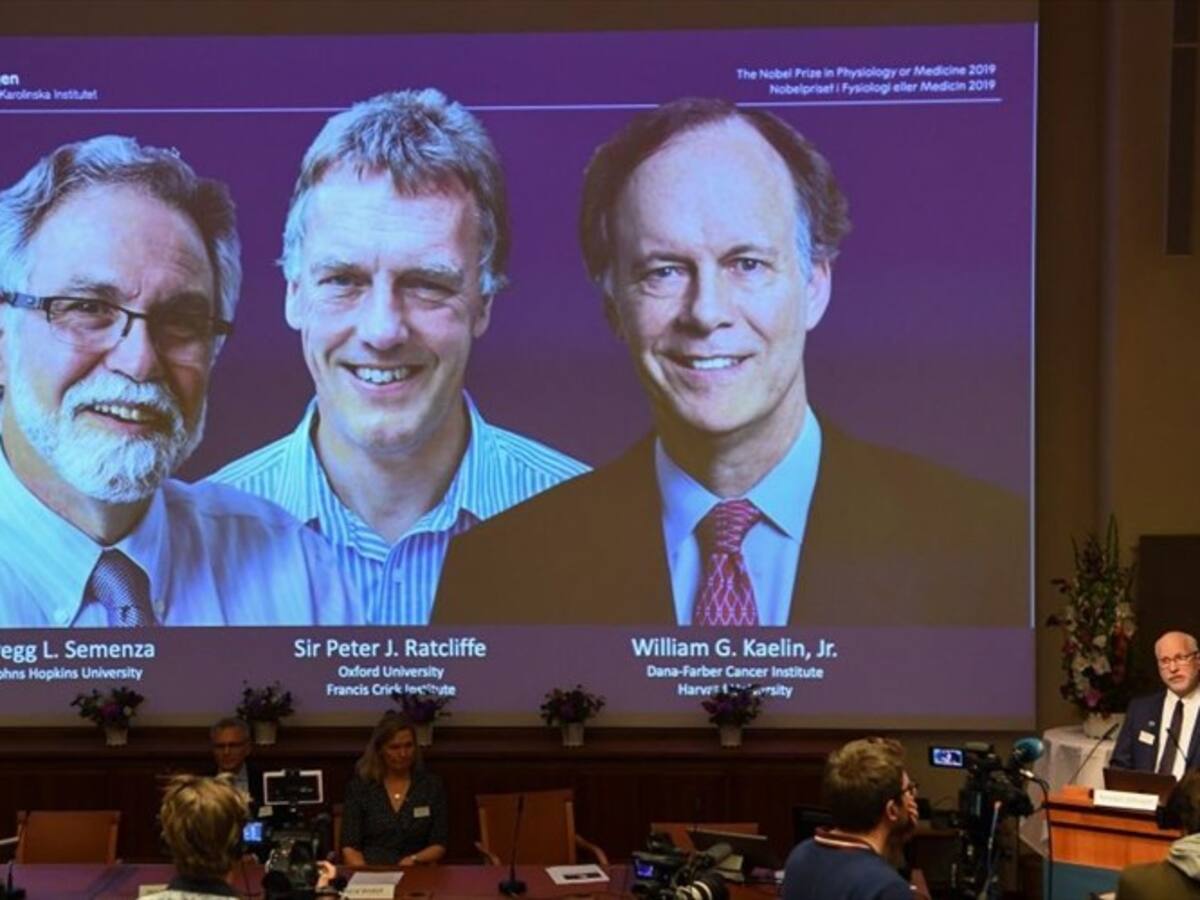 Científicos que investigaron adaptación de las células al oxígeno ganan Nobel de Medicina