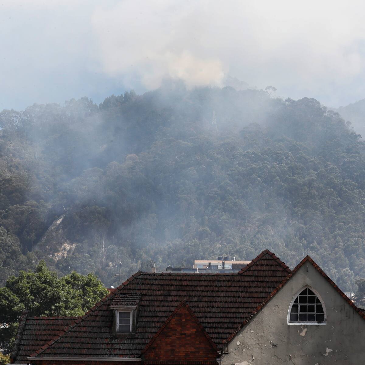 Sendero de las mariposas: ¿Un aliado para controlar el incendio en los cerros Orientales?