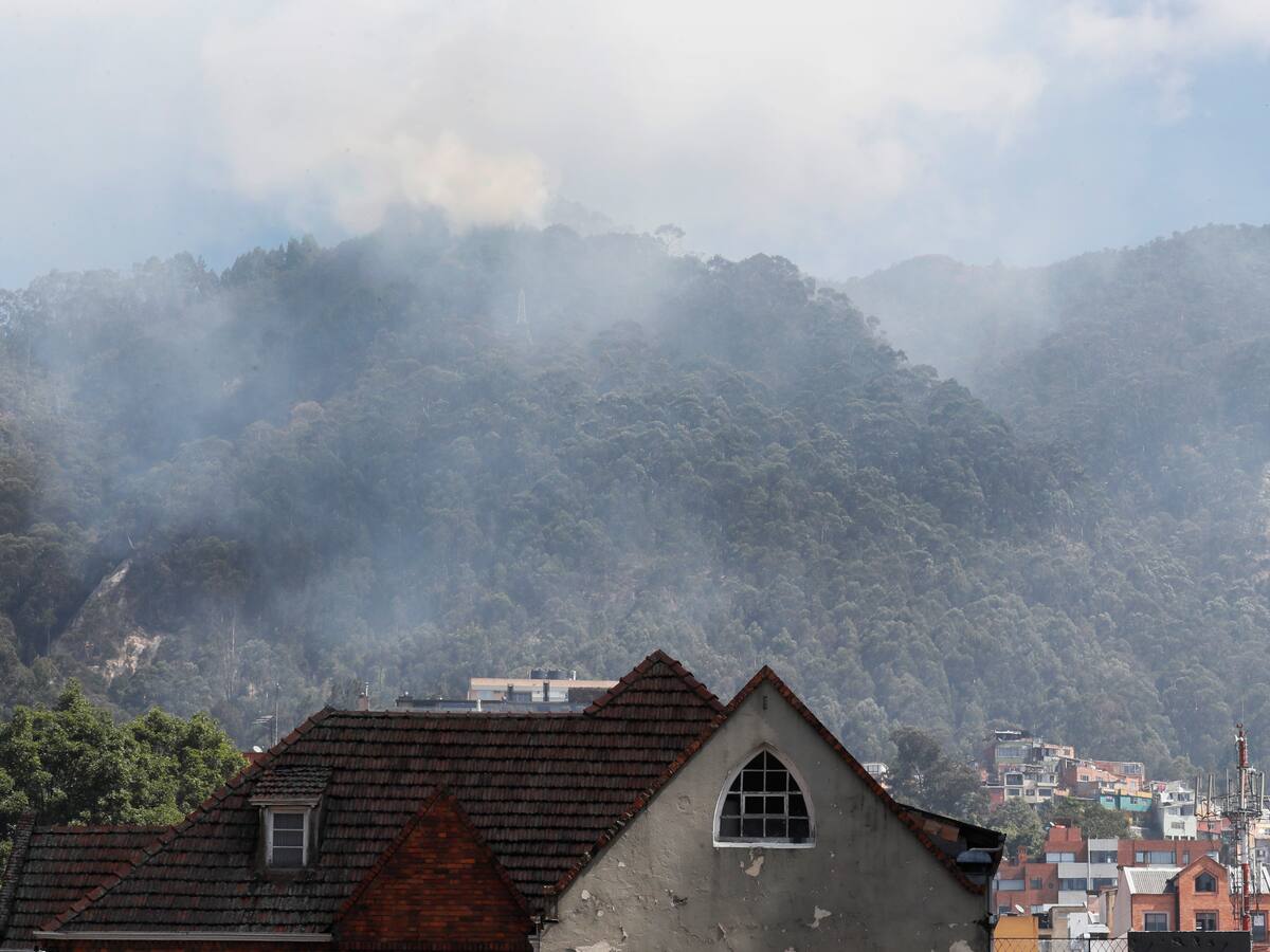 Sendero de las mariposas: ¿Un aliado para controlar el incendio en los cerros Orientales?
