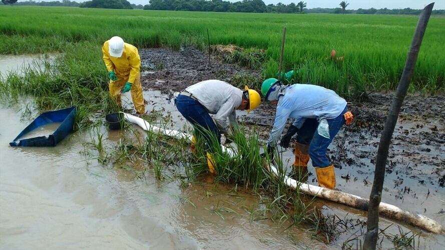 Emergencia ambiental por derrame de petróleo en Serranía las Quinchas en Boyacá. Foto: Colprensa
