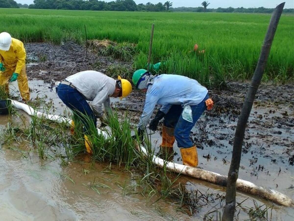 Anla, Ecopetrol y Gobernación de Boyacá analizarán emergencia en Serranía de las Quinchas