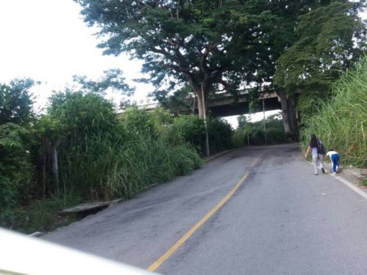 El drama cotidiano de caminar por la carretera antigua a Floridablanca
