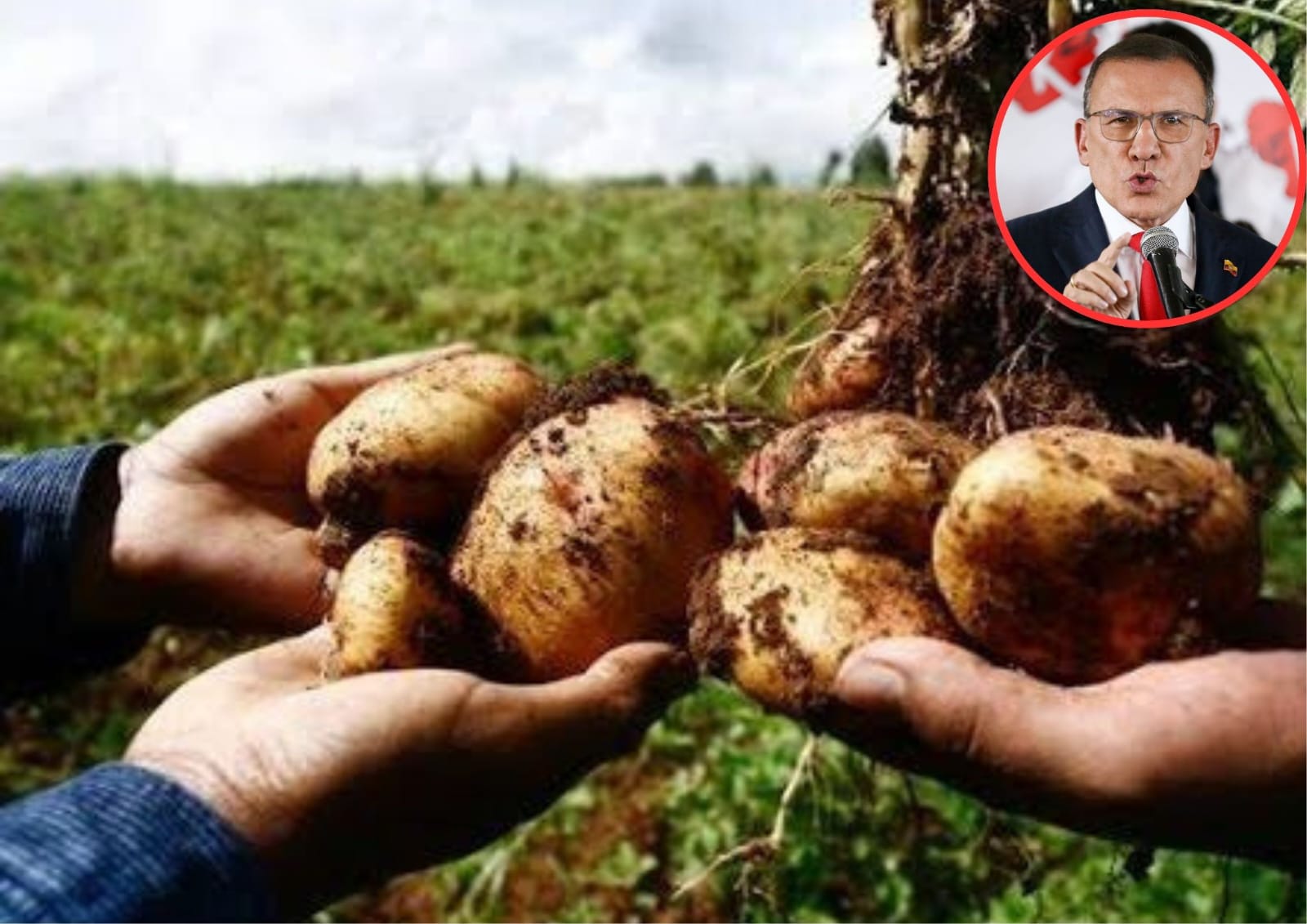 Roy Barreras Montealegre le quiere apostar a la recuperación del campo.