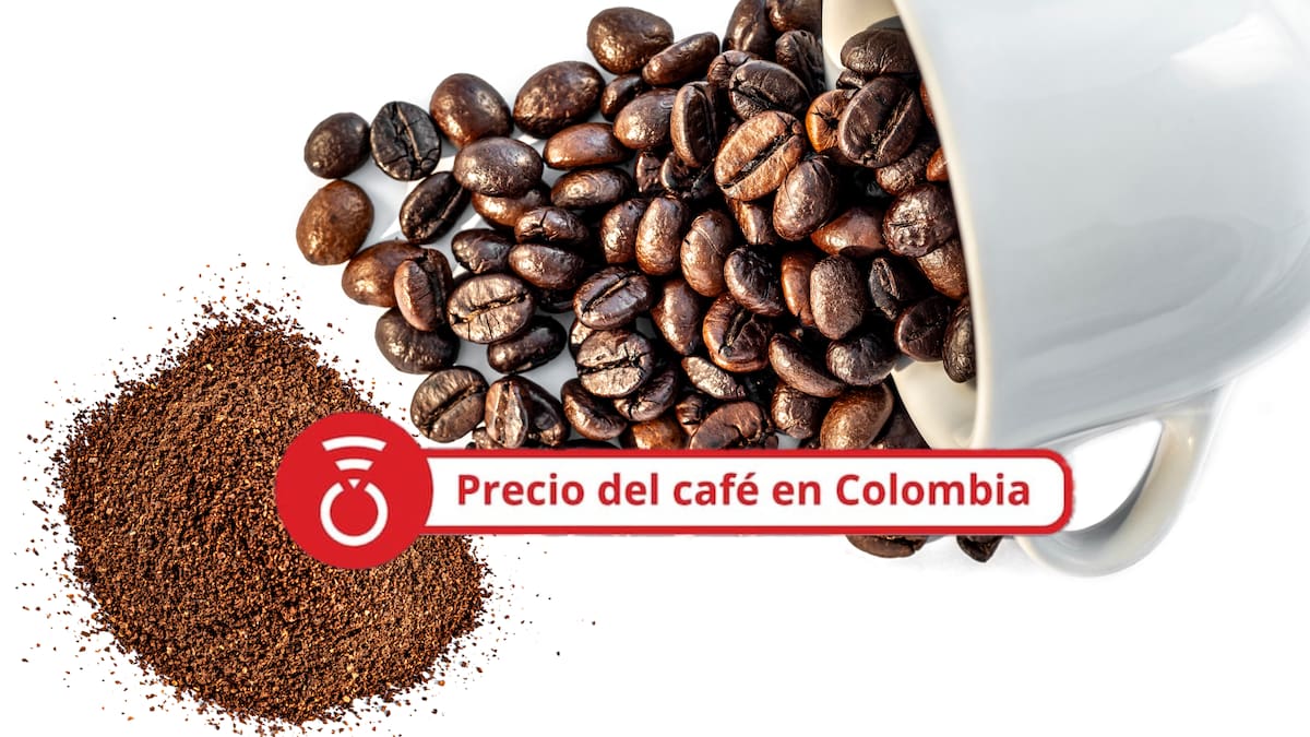 Precio del café HOY 14 de agosto: El precio del grano terminó la semana al alza
