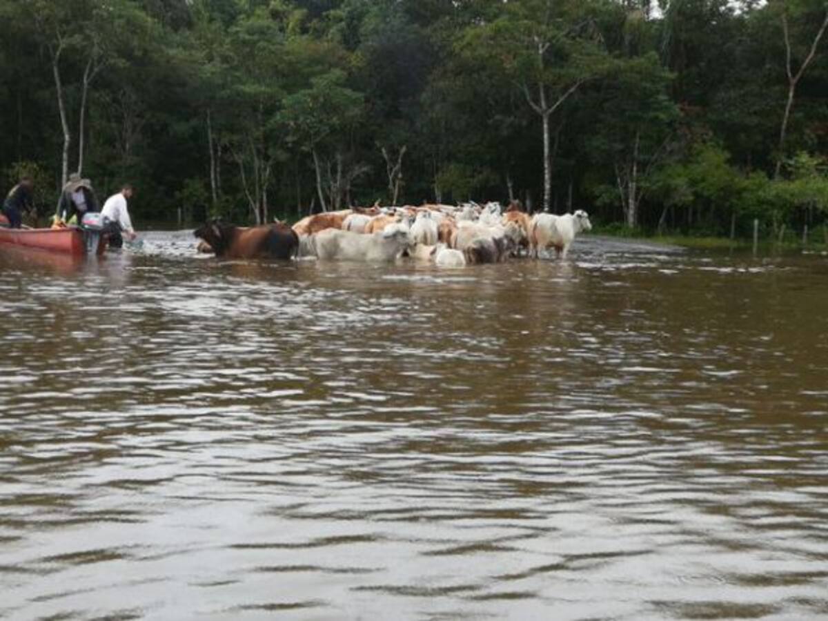 Más de 15.000 afectados por las lluvias en Guainía