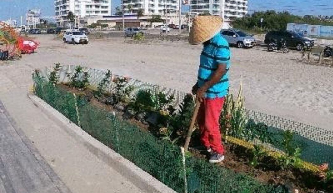 Rehabilitación de zonas verdes en Marbella