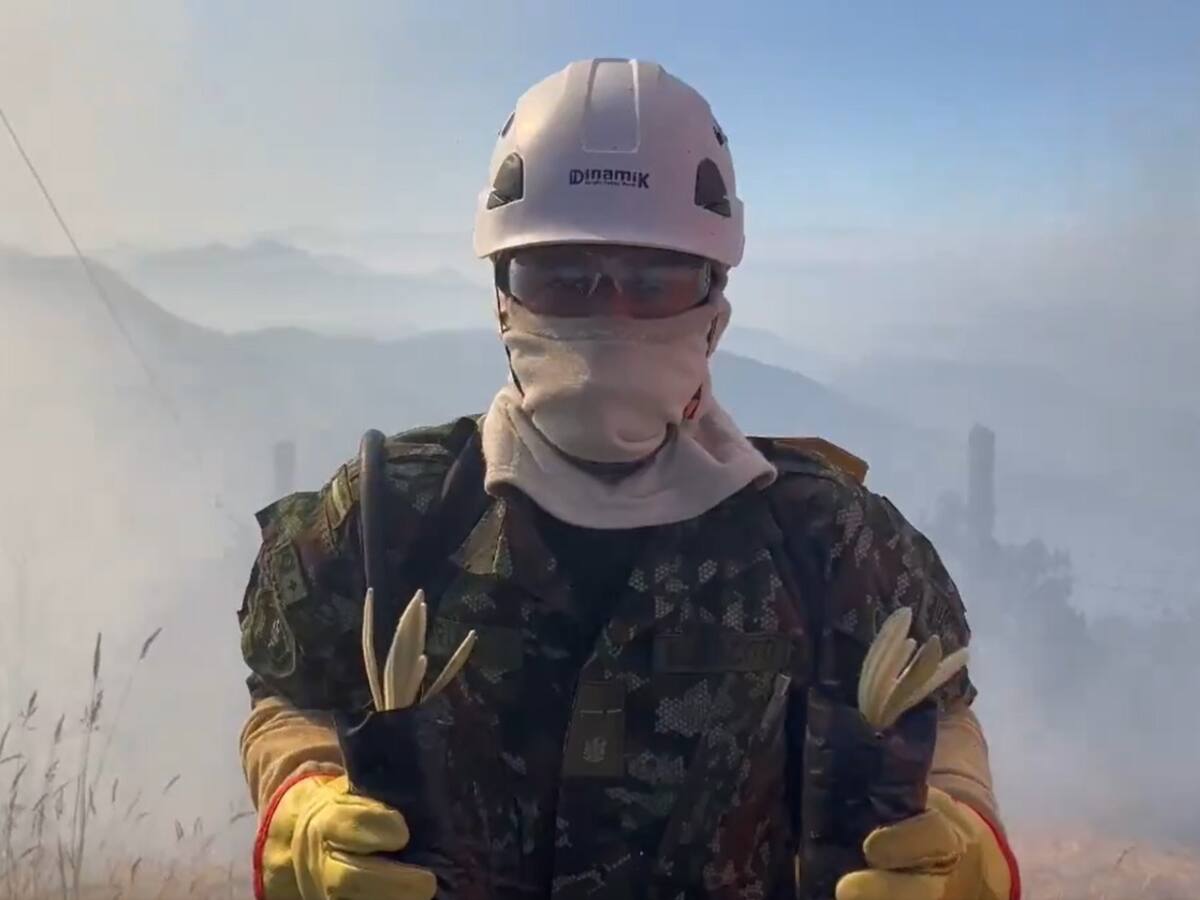 “Aún hay esperanza”, conmovedor video de soldado que salva frailejones en Santurbán